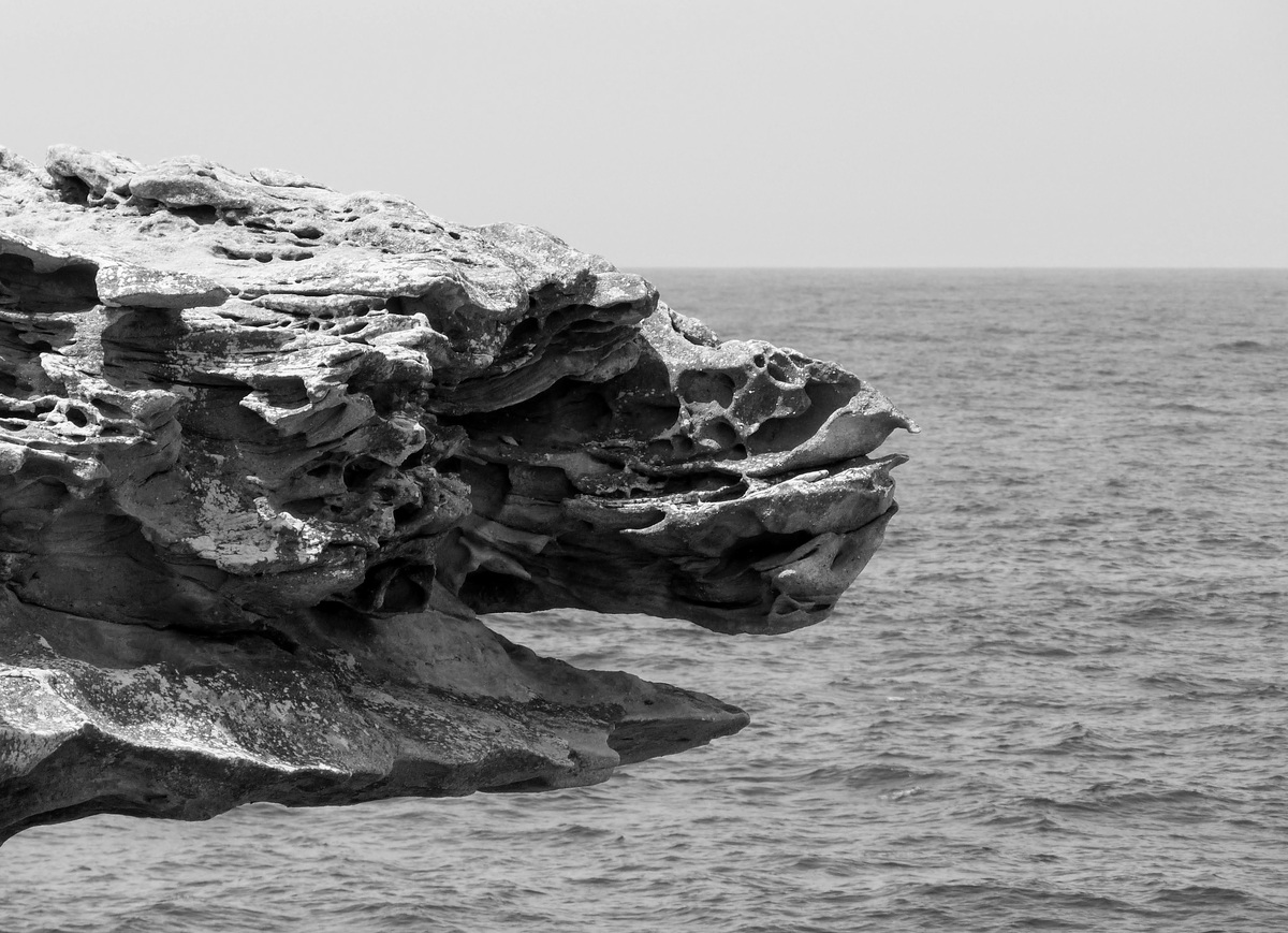 Lizard Head, Bondi Beach